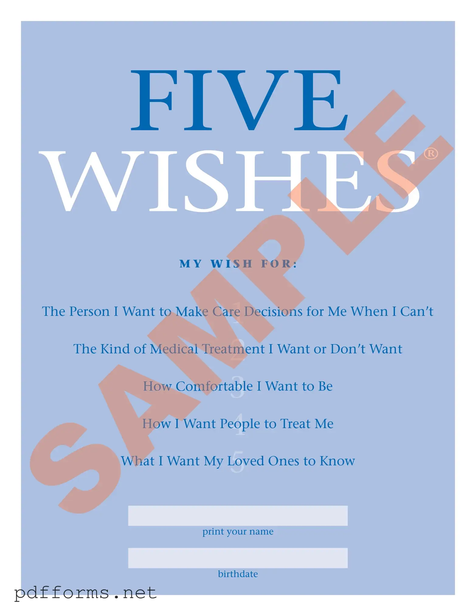 Download 5 Wishes Document Template