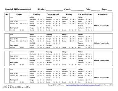 Download Baseball Assessment Template