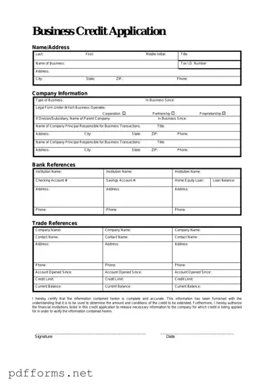 Download Business Credit Application Template