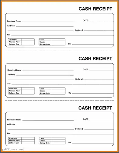 Download Cash Receipt Template
