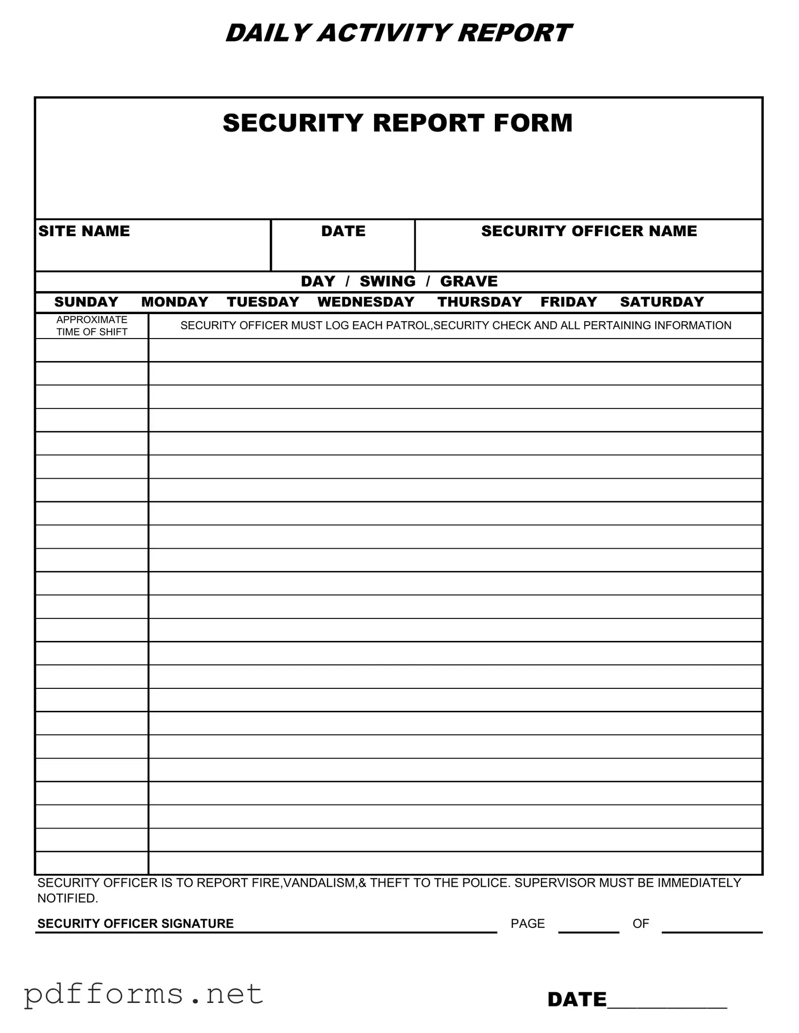 Download Security Guard Daily Report Sample Template